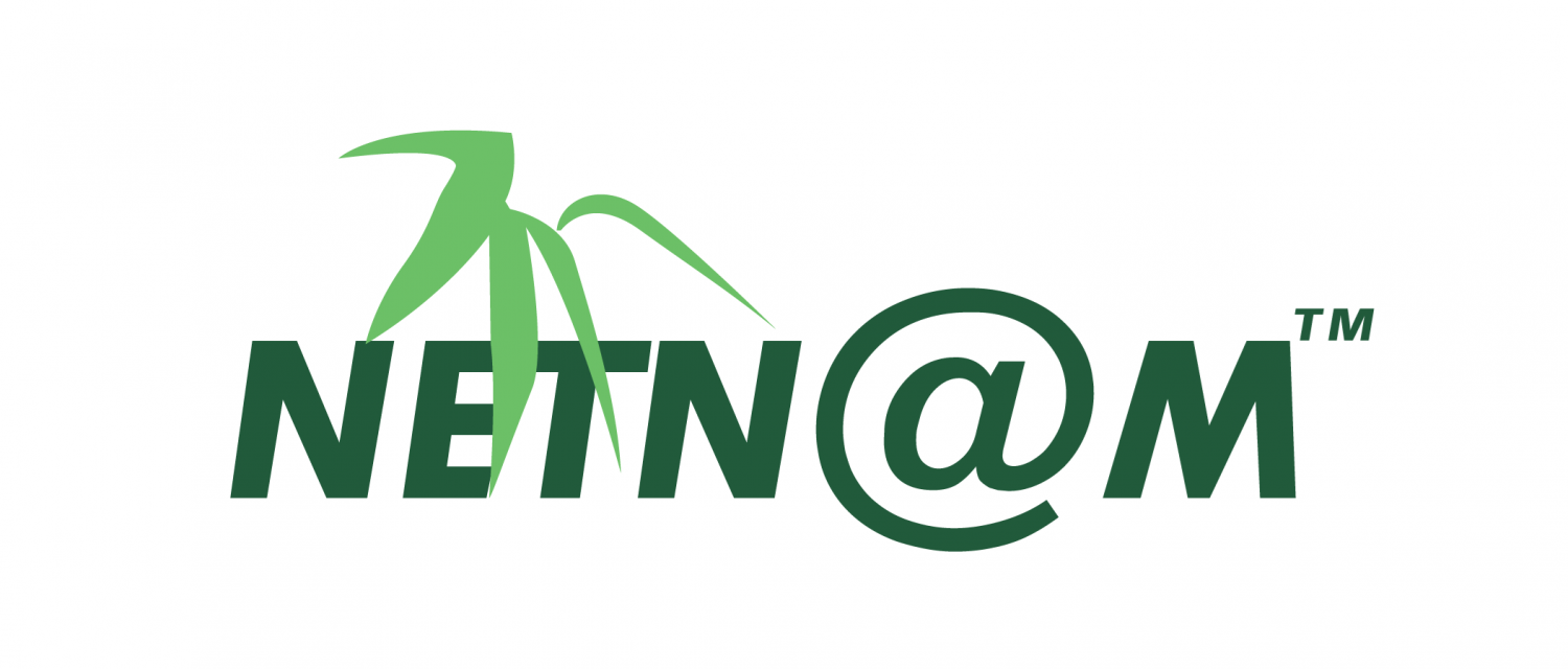 Logo netnam